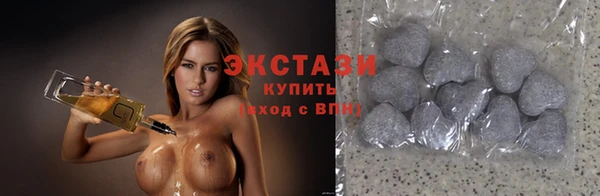 СК Новодвинск
