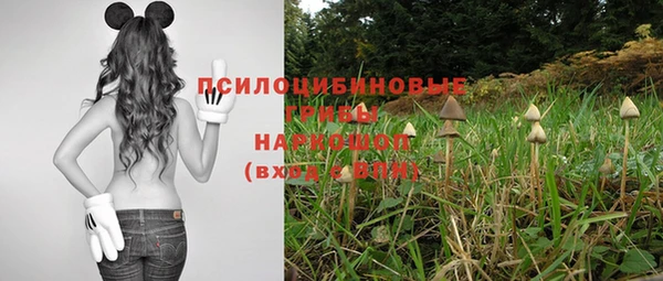 соль ск Няндома