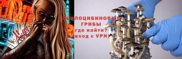 соль ск Няндома